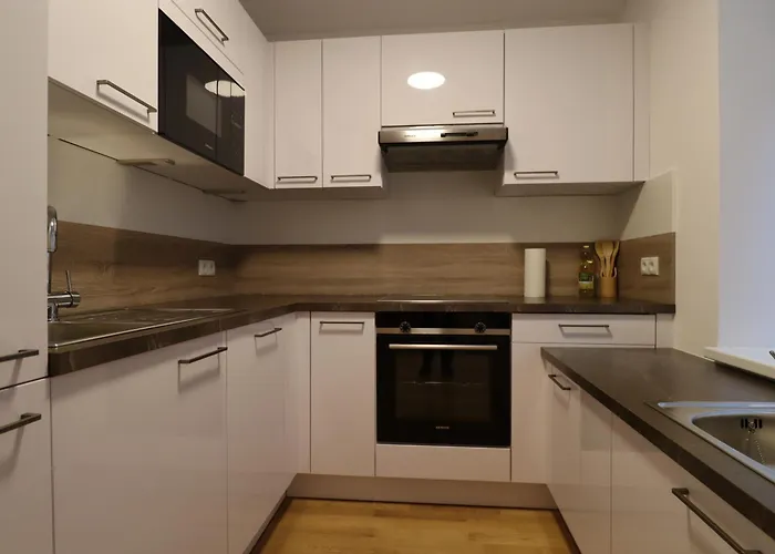 Luxurioeses Duplex 130m2 * Vídeň